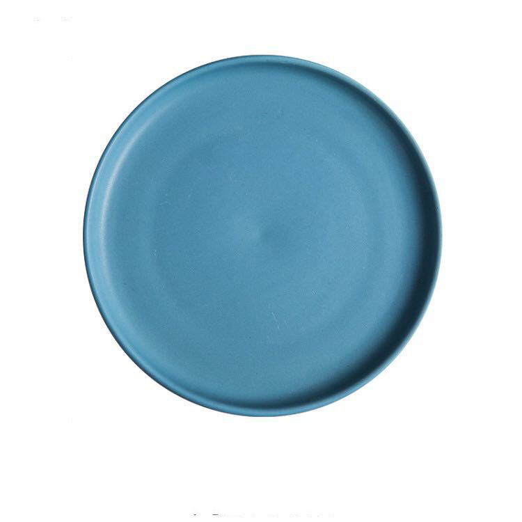 BLUE 8INCH PLATE
